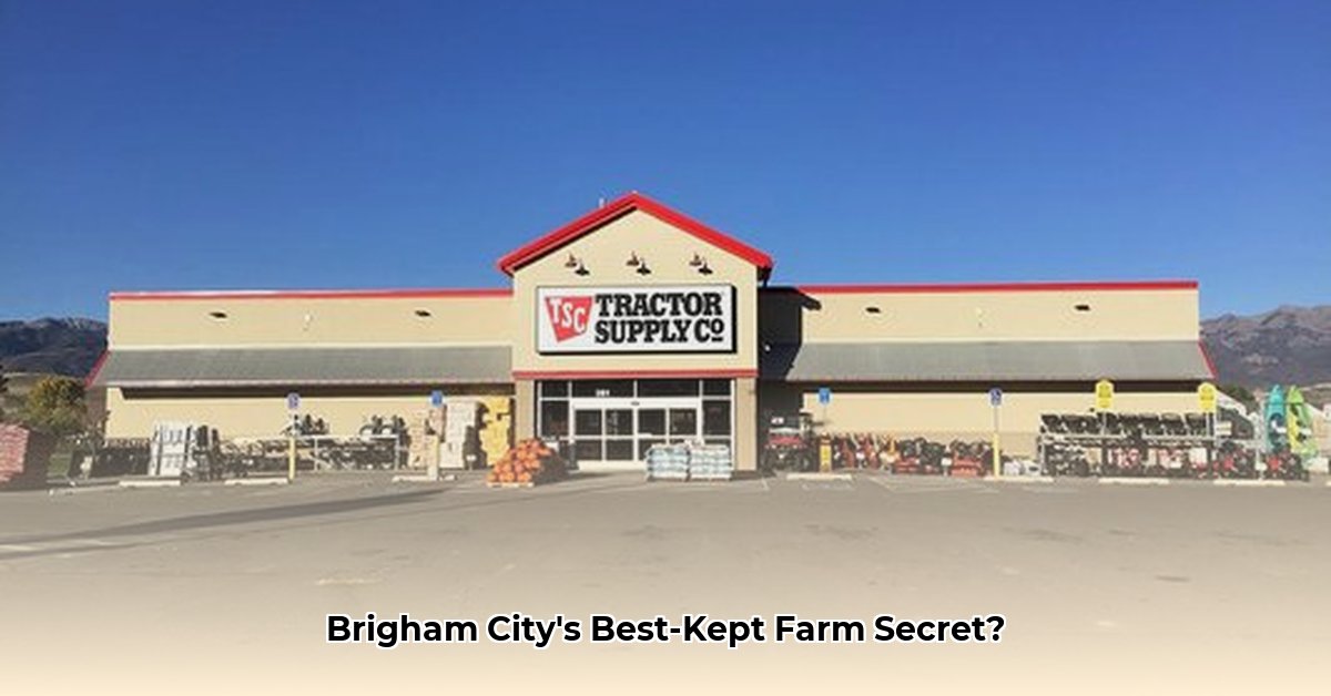 tractor-supply-brigham-city-ut